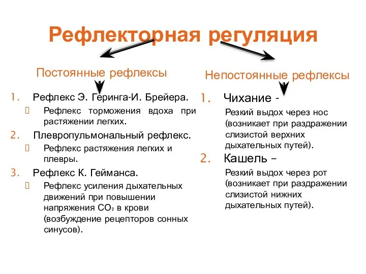 Рефлекторная регуляция Постоянные рефлексы Непостоянные рефлексы Рефлекс Э. Геринга-И. Брейера.