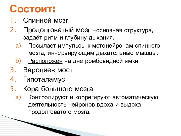 Спинной мозг Продолговатый мозг –основная структура, задаёт ритм и глубину дыхания. Посылает импульсы