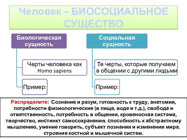 Человек – БИОСОЦИАЛЬНОЕ СУЩЕСТВО Распределите: Сознание и разум, готовность к