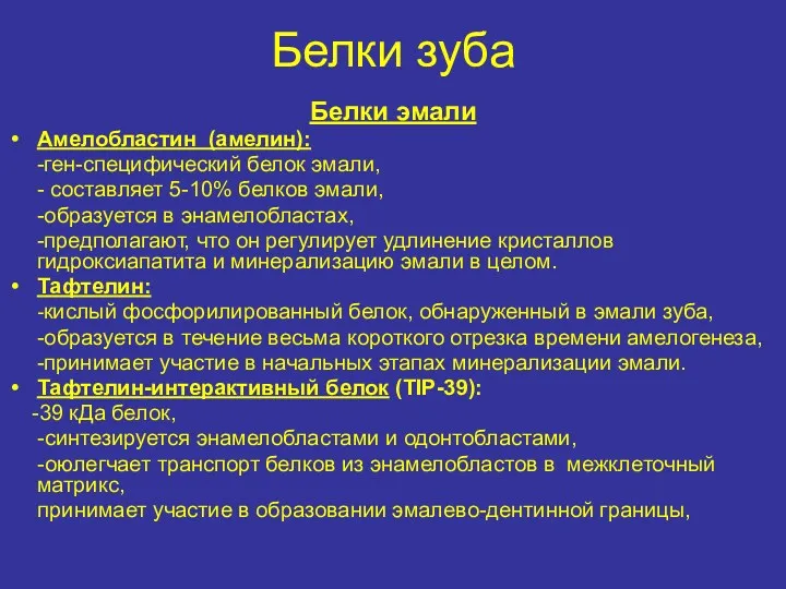 Белки зуба Белки эмали Амелобластин (амелин): -ген-специфический белок эмали, -