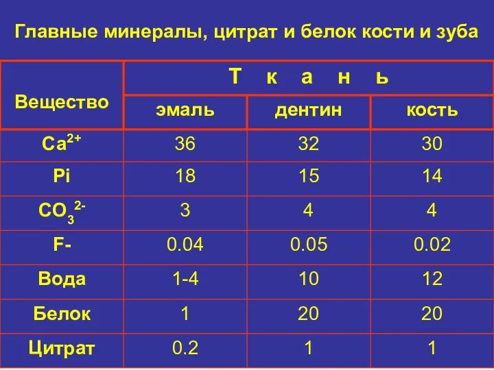 Главные минералы, цитрат и белок кости и зуба