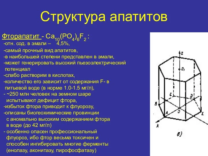 Структура апатитов Фторапатит - Ca10(PO4)6F2 : -отн. сод. в эмали