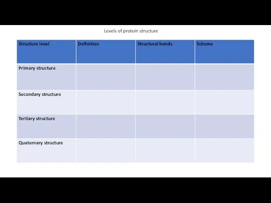 Levels of protein structure