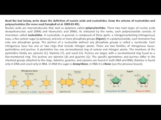 Read the text below, write down the definition of nucleic