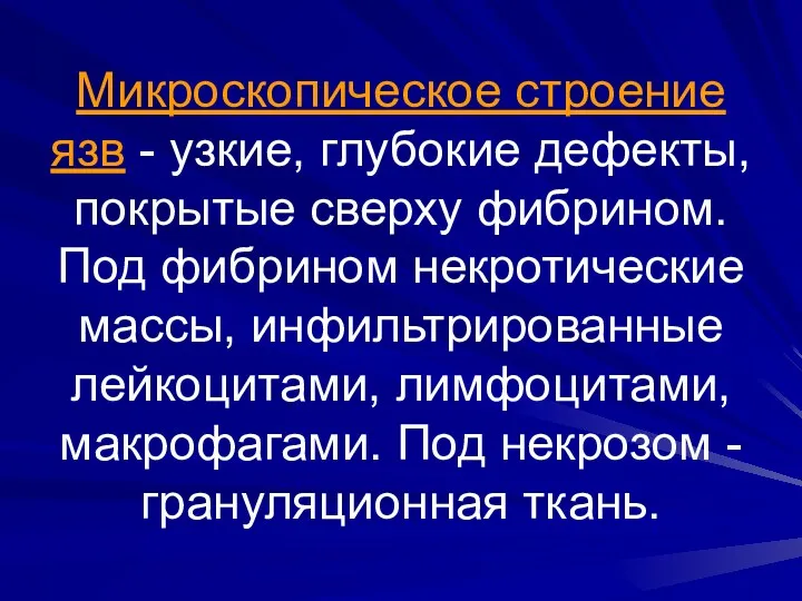 Микроскопическое строение язв - узкие, глубокие дефекты, покрытые сверху фибрином.