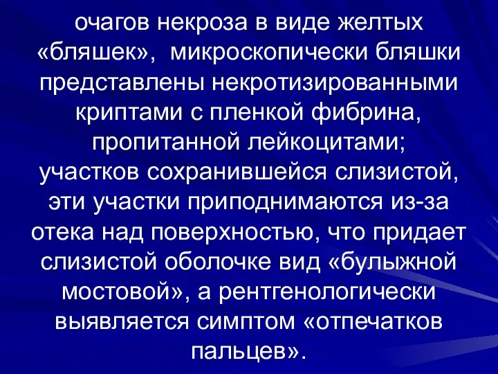 очагов некроза в виде желтых «бляшек», микроскопически бляшки представлены некротизированными