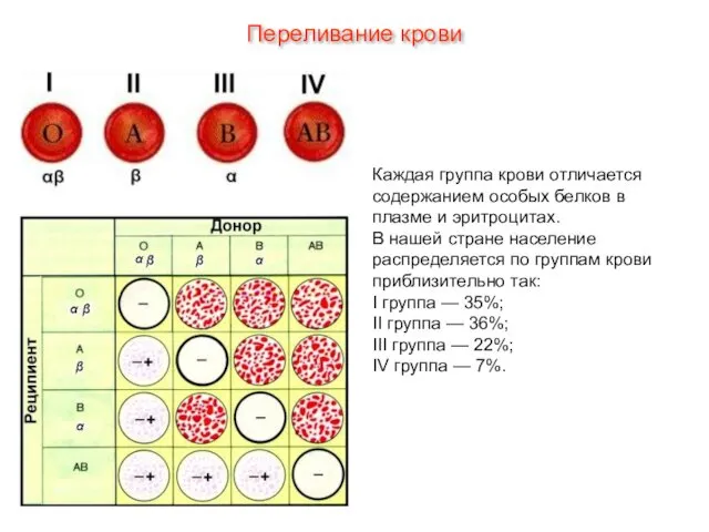 Каждая группа крови отличается содержанием особых белков в плазме и