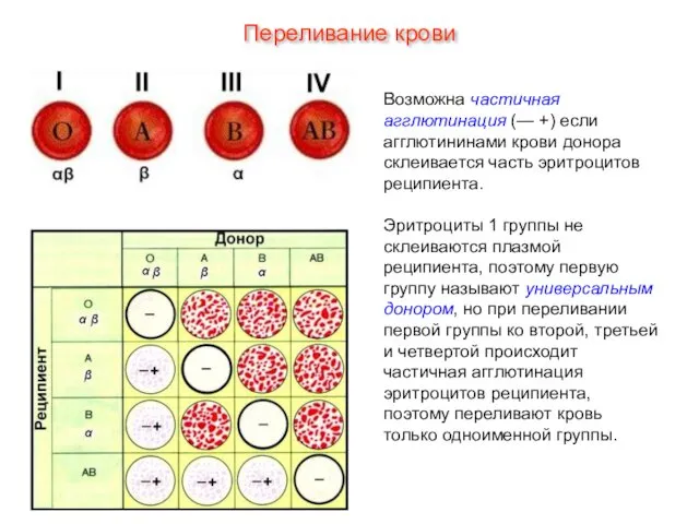 Возможна частичная агглютинация (— +) если агглютининами крови донора склеивается