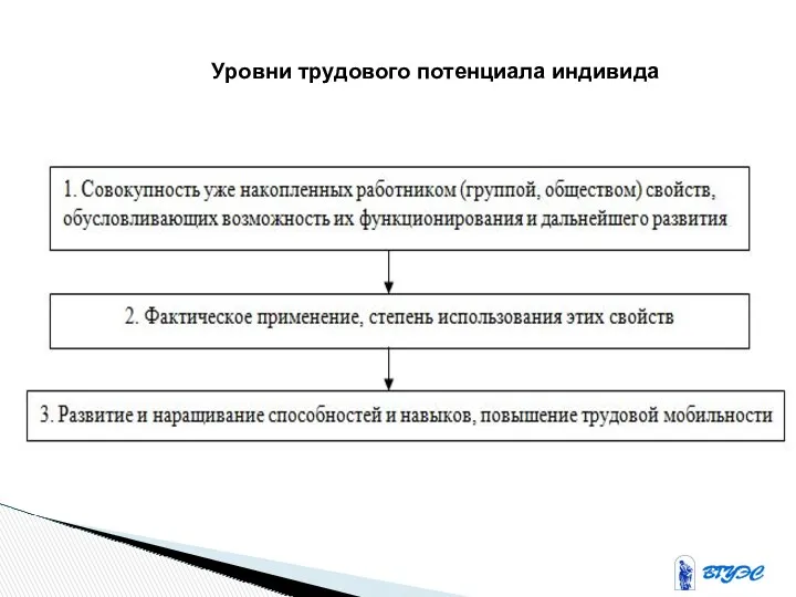 Уровни трудового потенциала индивида