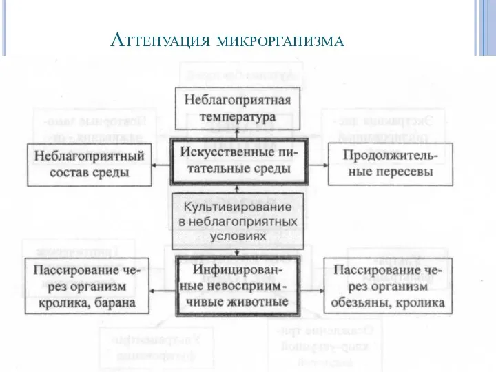 Аттенуация микрорганизма