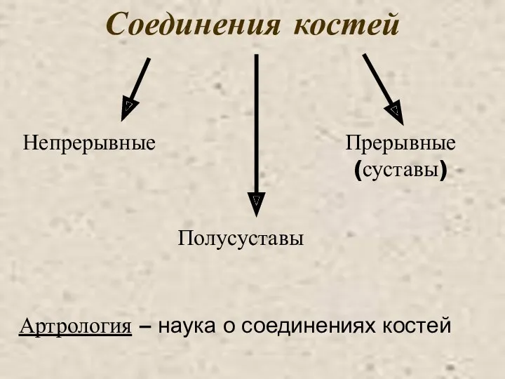 Соединения костей Артрология – наука о соединениях костей Непрерывные Полусуставы Прерывные (суставы)