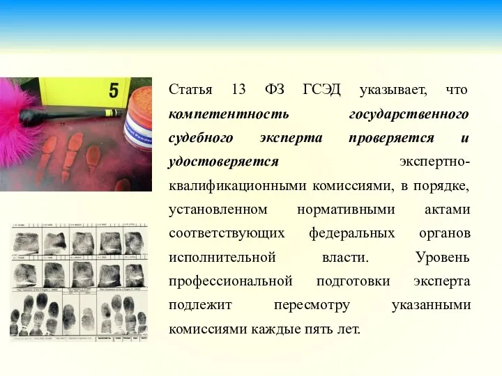 Статья 13 ФЗ ГСЭД указывает, что компетентность государственного судебного эксперта