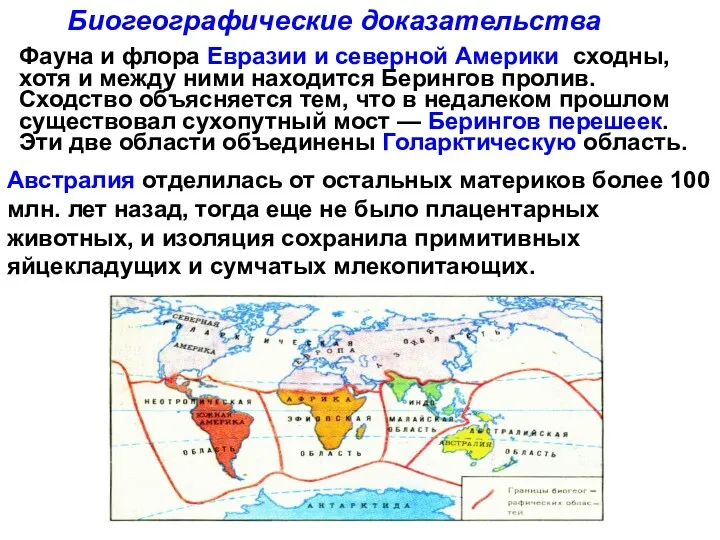 Биогеографические доказательства Фауна и флора Евразии и северной Америки сходны,