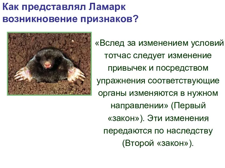 Как представлял Ламарк возникновение признаков? «Вслед за изменением условий тотчас