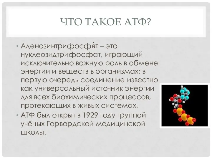 ЧТО ТАКОЕ АТФ? Аденозинтрифосфа́т – это нуклеозидтрифосфат, играющий исключительно важную