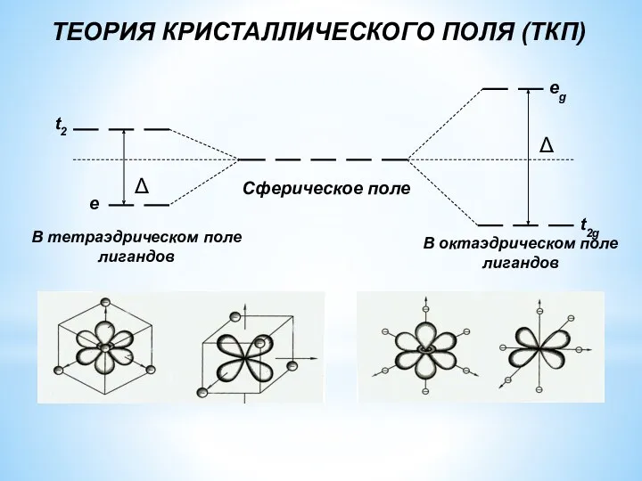 ТЕОРИЯ КРИСТАЛЛИЧЕСКОГО ПОЛЯ (ТКП) В тетраэдрическом поле лигандов В октаэдрическом поле лигандов Сферическое поле