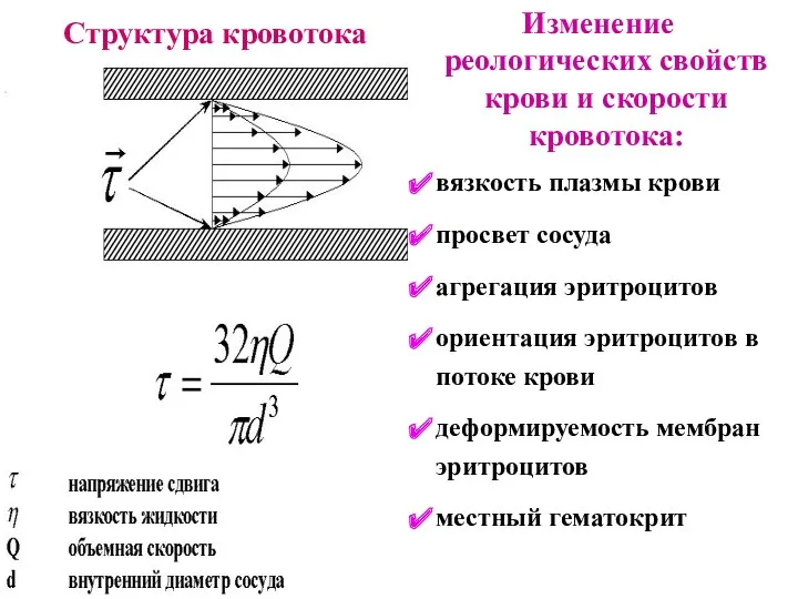 Структура кровотока Изменение реологических свойств крови и скорости кровотока: вязкость плазмы крови просвет