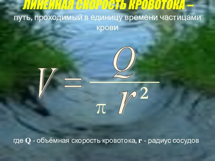 V = Q π r 2 где Q - объёмная скорость кровотока, r