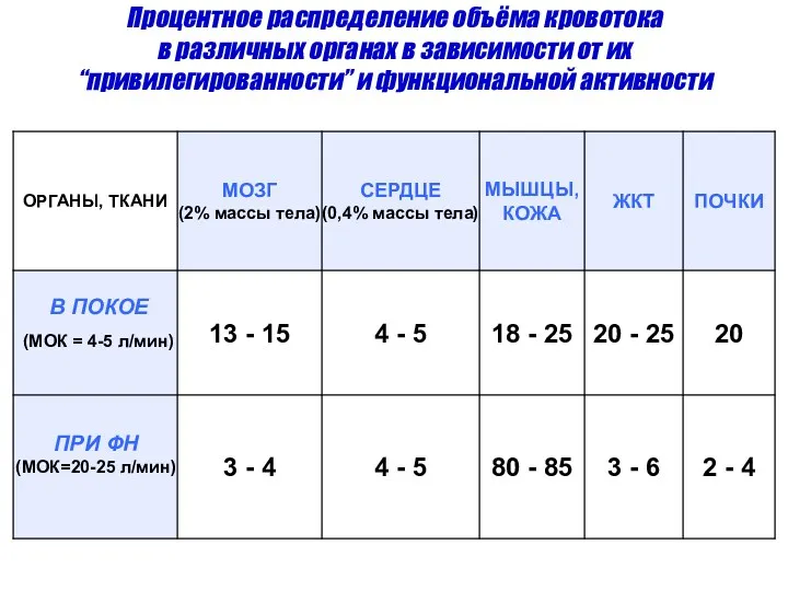 Процентное распределение объёма кровотока в различных органах в зависимости от их “привилегированности” и функциональной активности