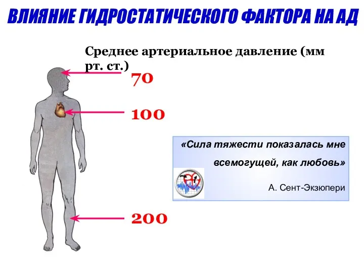 70 100 200 Среднее артериальное давление (мм рт. ст.) «Сила тяжести показалась мне