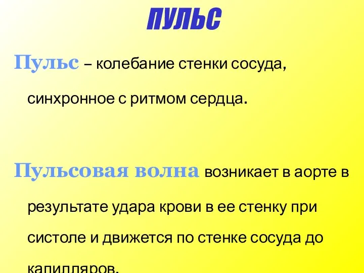 ПУЛЬС Пульс – колебание стенки сосуда, синхронное с ритмом сердца. Пульсовая волна возникает