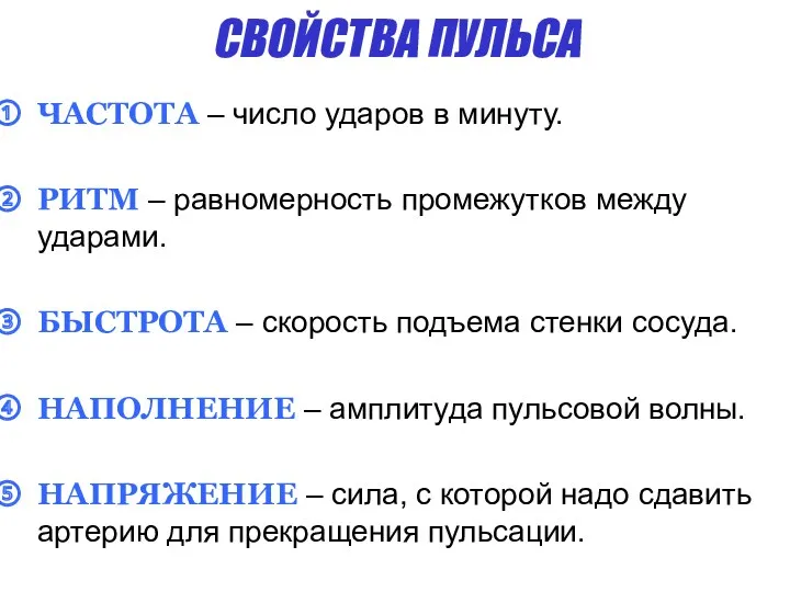 СВОЙСТВА ПУЛЬСА ЧАСТОТА – число ударов в минуту. РИТМ – равномерность промежутков между