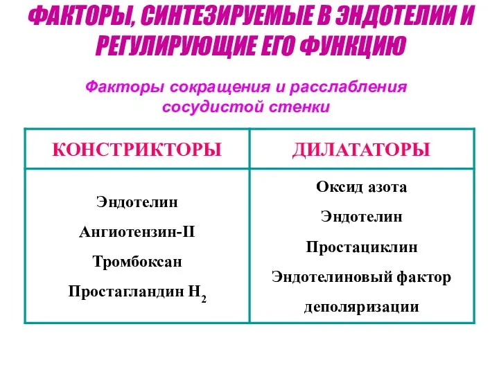 Факторы сокращения и расслабления сосудистой стенки ФАКТОРЫ, СИНТЕЗИРУЕМЫЕ В ЭНДОТЕЛИИ И РЕГУЛИРУЮЩИЕ ЕГО ФУНКЦИЮ