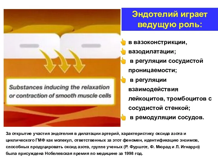 в вазоконстрикции, вазодилатации; в регуляции сосудистой проницаемости; в регуляции взаимодействия лейкоцитов, тромбоцитов с