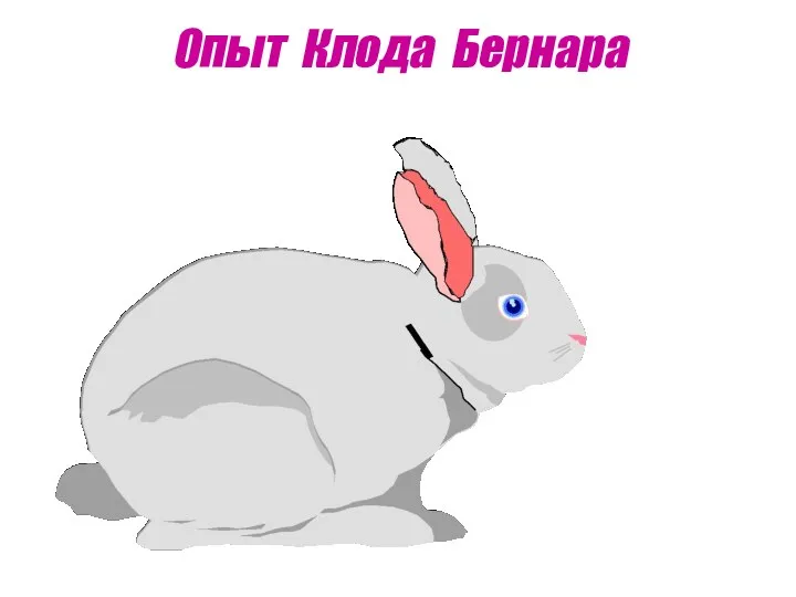 Опыт Клода Бернара