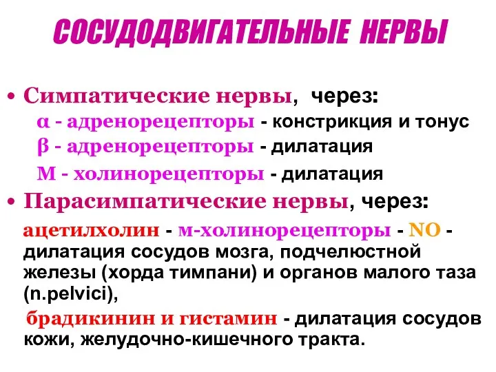 СОСУДОДВИГАТЕЛЬНЫЕ НЕРВЫ Симпатические нервы, через: α - адренорецепторы - констрикция