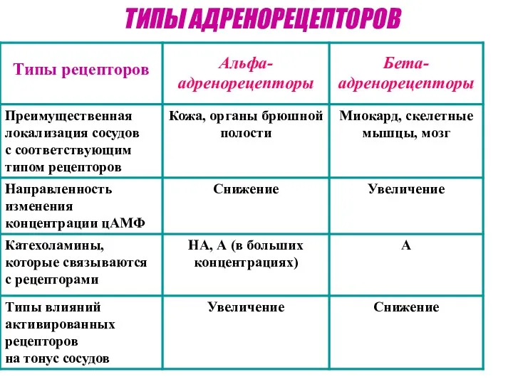 ТИПЫ АДРЕНОРЕЦЕПТОРОВ