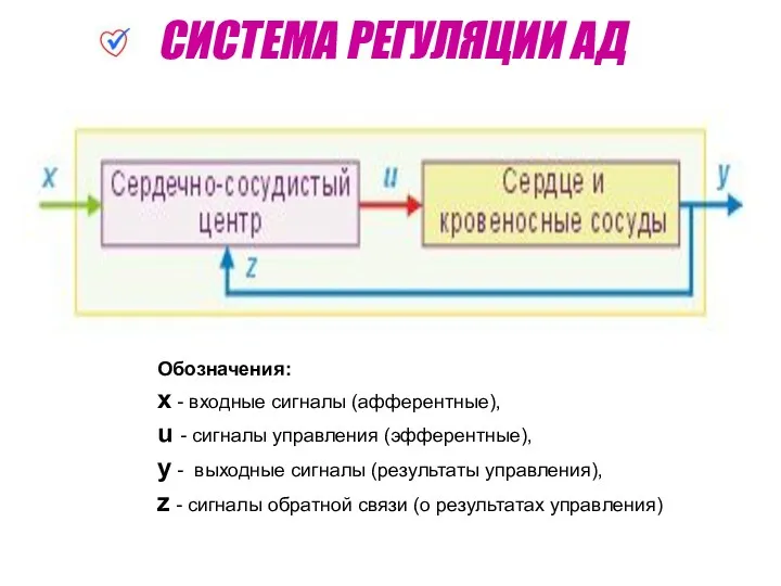 Обозначения: x - входные сигналы (афферентные), u - сигналы управления (эфферентные), y -