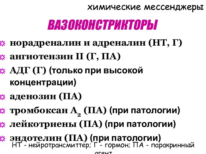 ВАЗОКОНСТРИКТОРЫ норадреналин и адреналин (НТ, Г) ангиотензин II (Г, ПА) АДГ (Г) (только