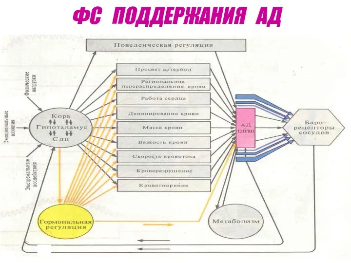 ФС ПОДДЕРЖАНИЯ АД