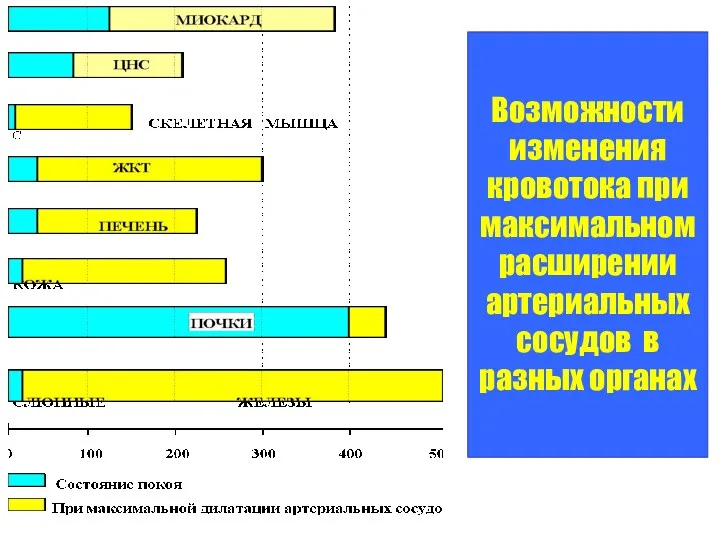 Возможности изменения кровотока при максимальном расширении артериальных сосудов в разных органах