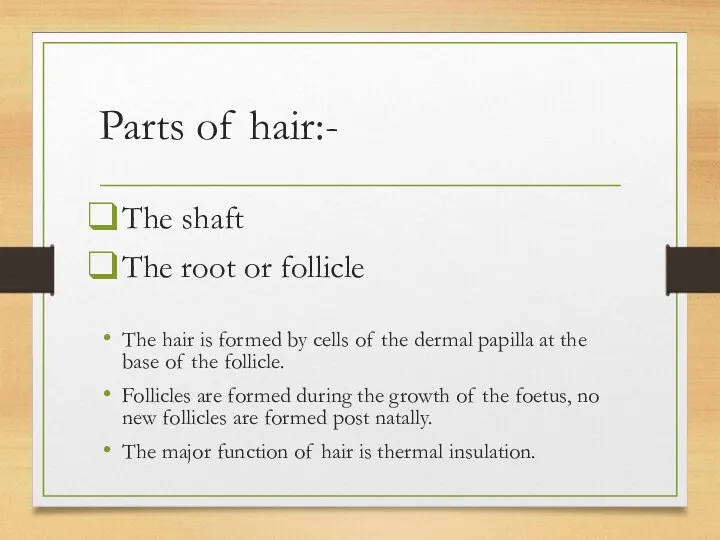 Parts of hair:- The shaft The root or follicle The