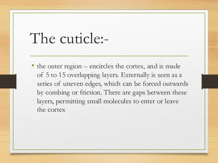 The cuticle:- the outer region – encircles the cortex, and