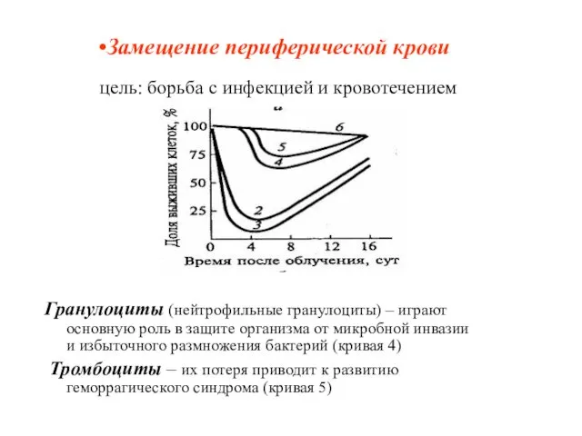 Замещение периферической крови цель: борьба с инфекцией и кровотечением Гранулоциты