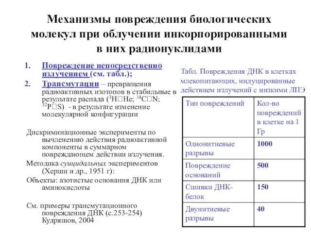 Механизмы повреждения биологических молекул при облучении инкорпорированными в них радионуклидами