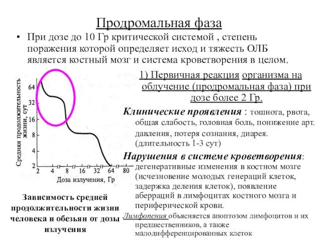 Продромальная фаза При дозе до 10 Гр критической системой ,