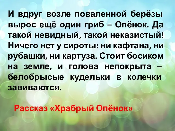 И вдруг возле поваленной берёзы вырос ещё один гриб –