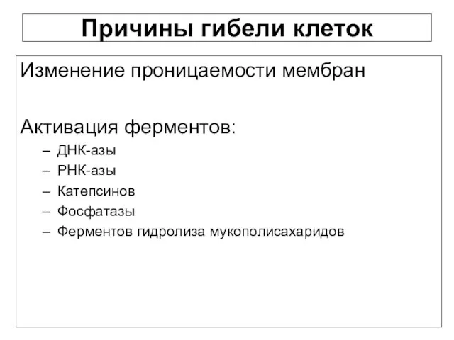 Причины гибели клеток Изменение проницаемости мембран Активация ферментов: ДНК-азы РНК-азы Катепсинов Фосфатазы Ферментов гидролиза мукополисахаридов