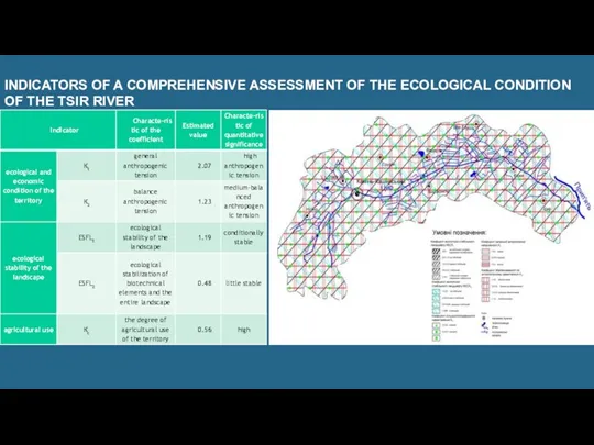 INDICATORS OF A COMPREHENSIVE ASSESSMENT OF THE ECOLOGICAL CONDITION OF THE TSIR RIVER