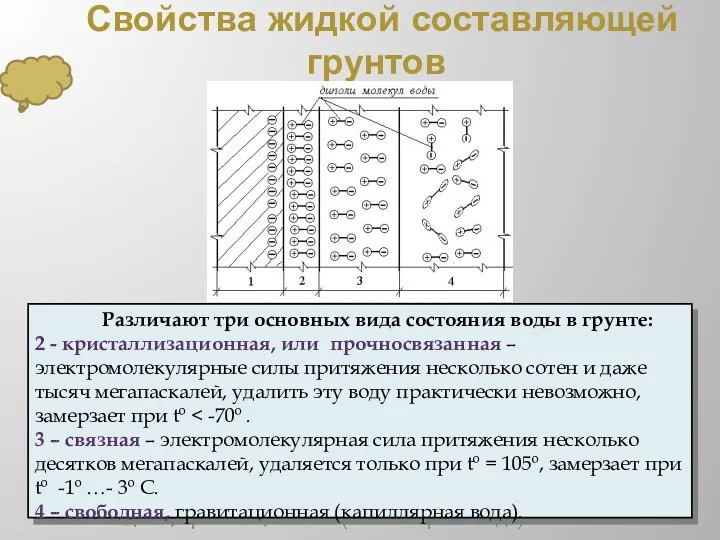 Свойства жидкой составляющей грунтов Различают три основных вида состояния воды