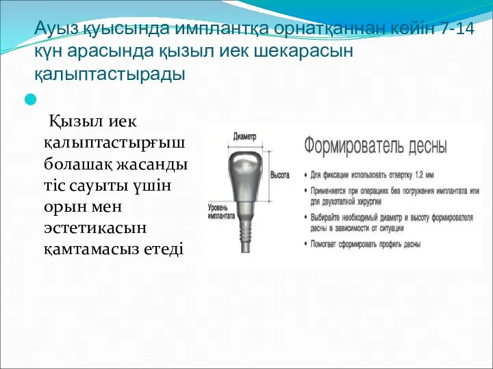 Ауыз қуысында имплантқа орнатқаннан кейін 7-14 күн арасында қызыл иек