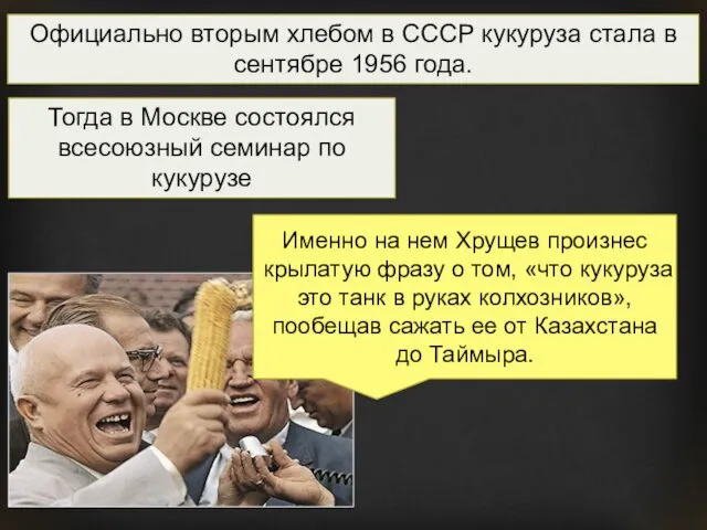 Официально вторым хлебом в СССР кукуруза стала в сентябре 1956