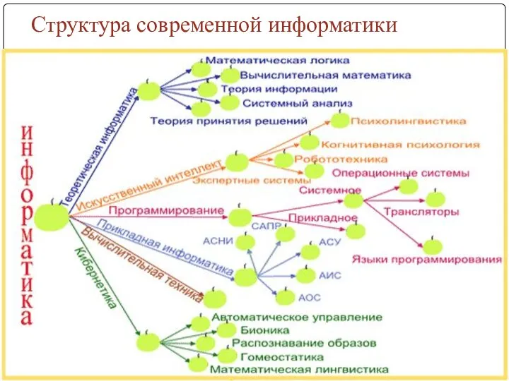 Структура современной информатики