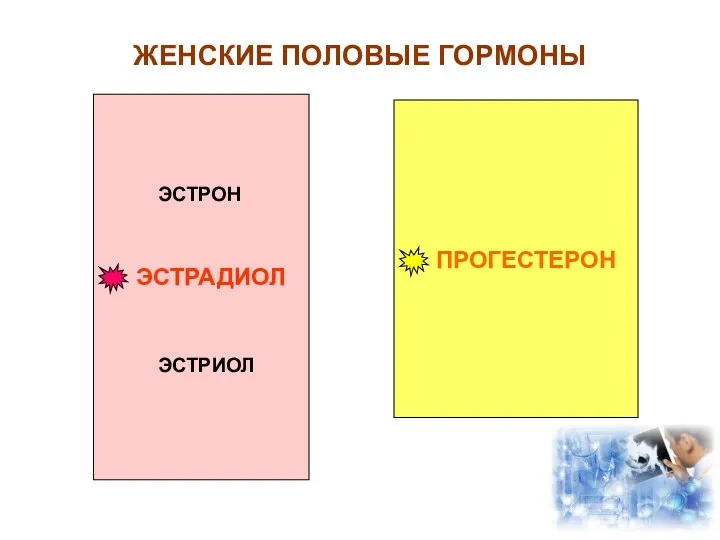 ЖЕНСКИЕ ПОЛОВЫЕ ГОРМОНЫ ЭСТРОН ЭСТРАДИОЛ ЭСТРИОЛ ПРОГЕСТЕРОН