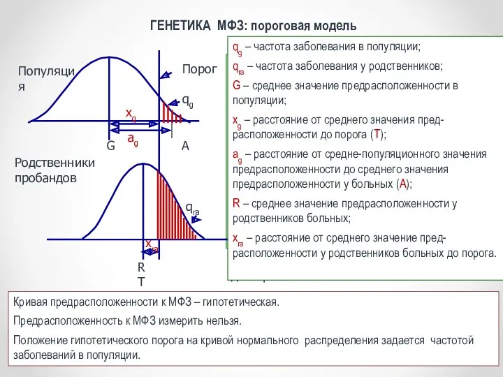 ГЕНЕТИКА МФЗ: пороговая модель xg qg – частота заболевания в