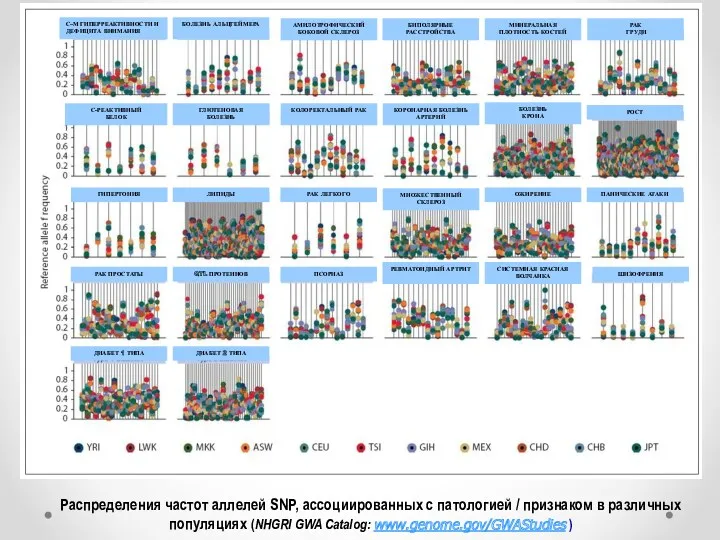 Распределения частот аллелей SNP, ассоциированных с патологией / признаком в